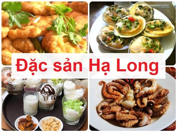 Các phương tiện từ sân bay Nội Bài đi Hạ Long Quảng Ninh